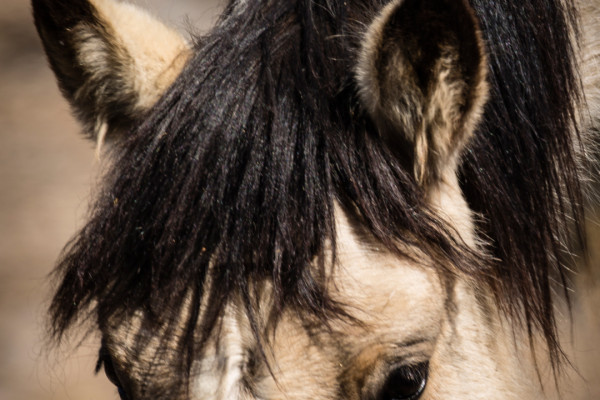 Eyes On You (365:020)