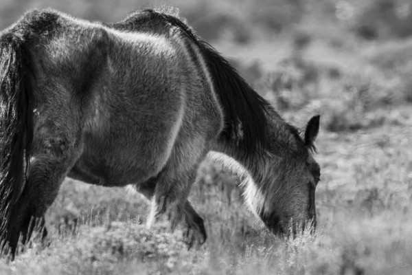 Not Much Longer Now (365:045)