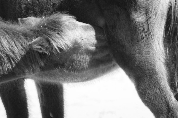 Lunch Counter (365:013)