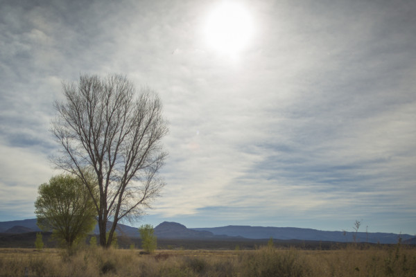 Eternity In An Hour (365:043)