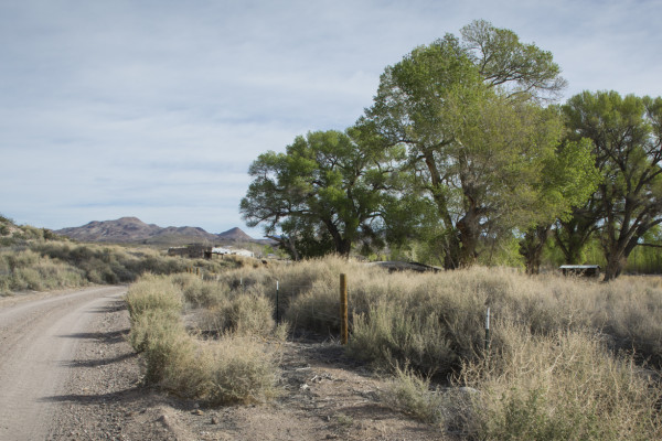 This Land Is Your Land (365:076)