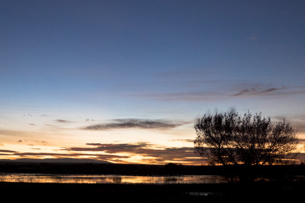 All Is Still (365:046)