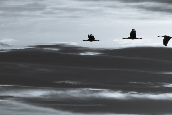 Feet, What Do I Need You For? (365:068)