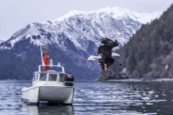 Sadie Cove (365:031)