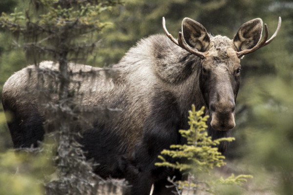 Nature In You Stands On The Very Verge (365:038)