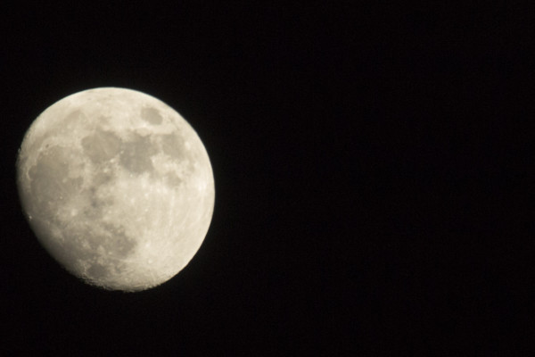 We All Shine On … (365:082)