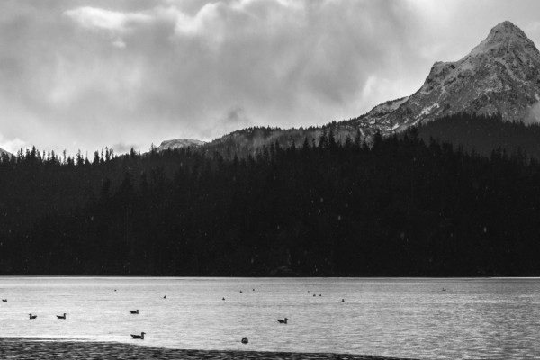 Across The Bay, Towards The Great Peak (365:081)