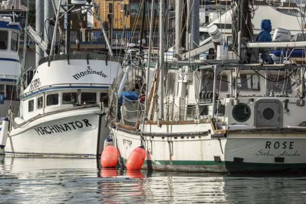 The sea, once it casts its spell ...