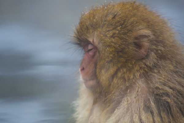 I Shut My Eyes In Order To See (365:075)