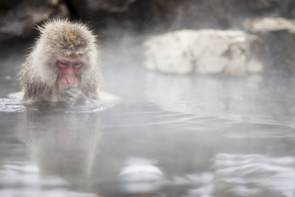 As The Morning Mist Flees (365:080)