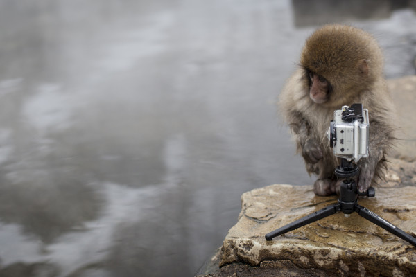 Lining Up The Shot (365:086)