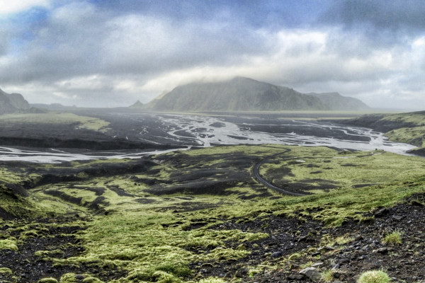 Amongst the Elves (365:094)